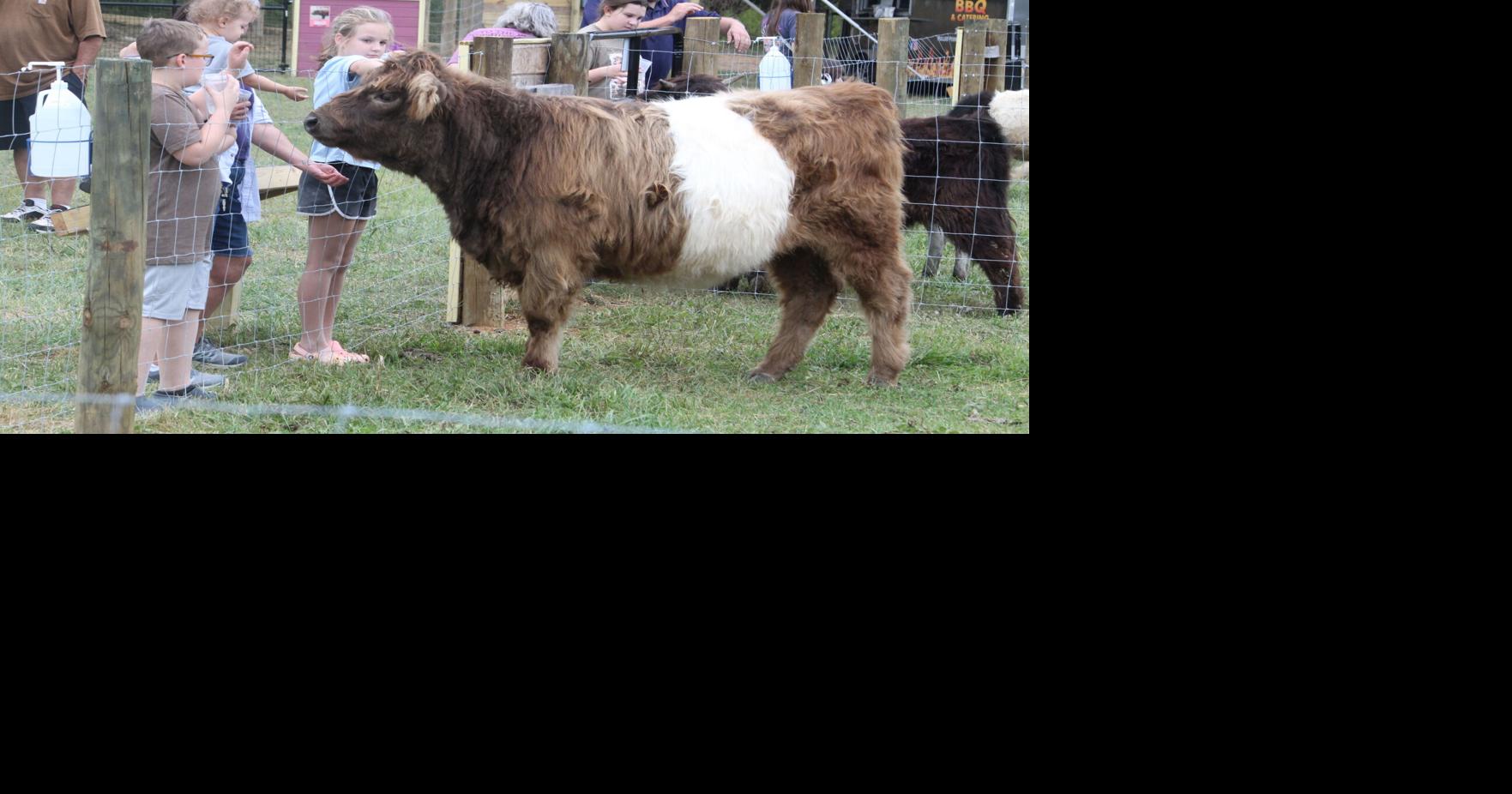 Bales & Moo Petting Zoo brings animals, agriculture education to ...