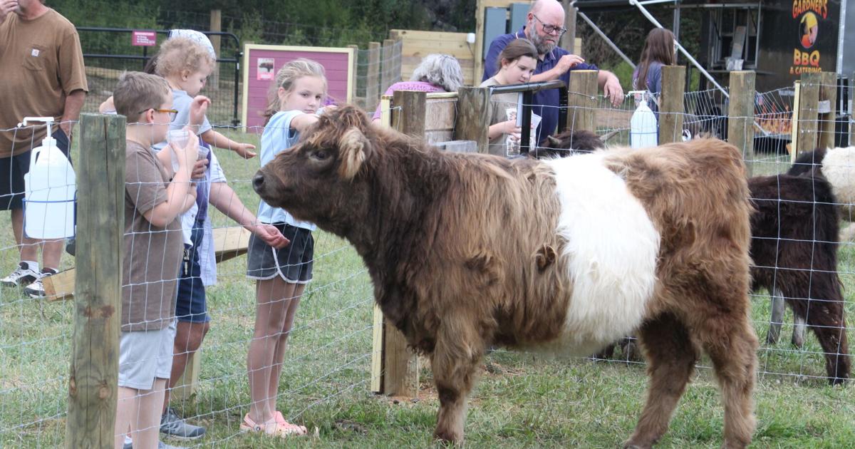 Inference Code Bales & Moo Petting Zoo brings animals, agriculture education to ...