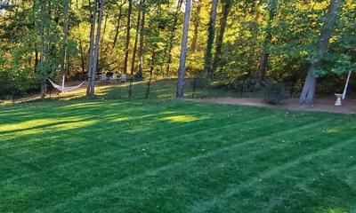 A Breakthrough Making Grass Seed Smarter and Lawns Greener