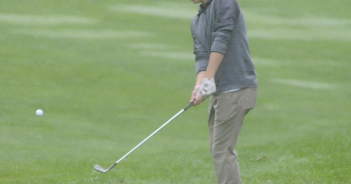 Evan Rees Golf Player Golfer of the Year: Patriots' Evans elevates game to win state ...