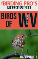 Great Outdoors: The birds of spring