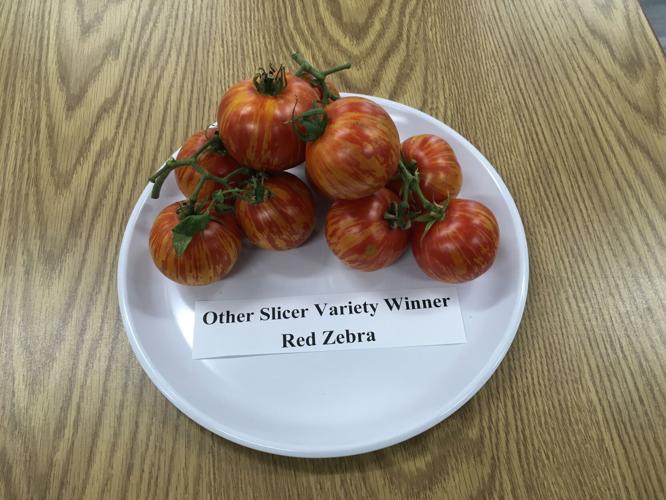Brandywine Purple Tomato Seeds For Sale At Renaissance Farms