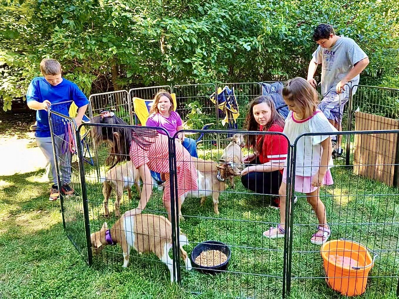 Shepherdstown Farm Launches Engaging Petting Zoo Experience