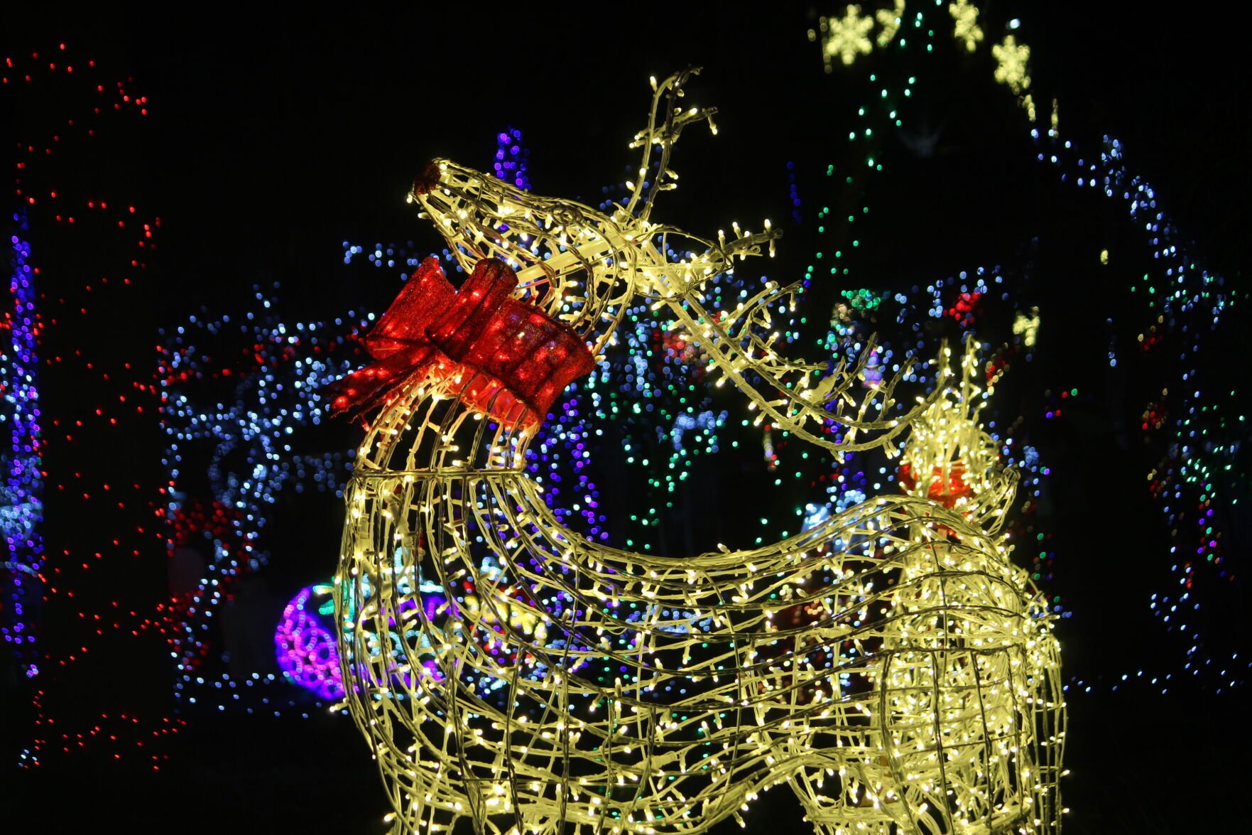 Harpers Ferry's Enchanting New Holiday Light Show Opens