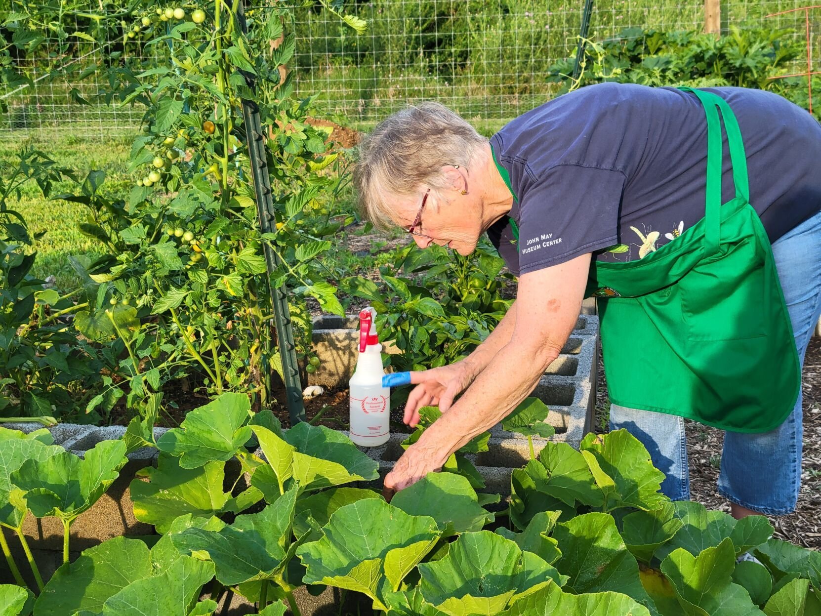 Local Community Gardens Thrive: Success in Martinsburg and Ranson