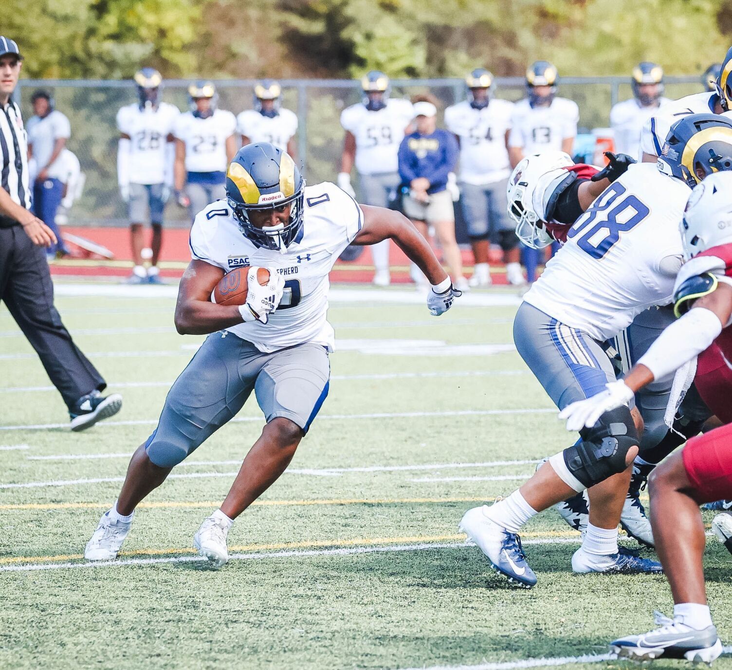 Shepherd football ranked 2nd in PSAC East preseason poll | Journal-news ...