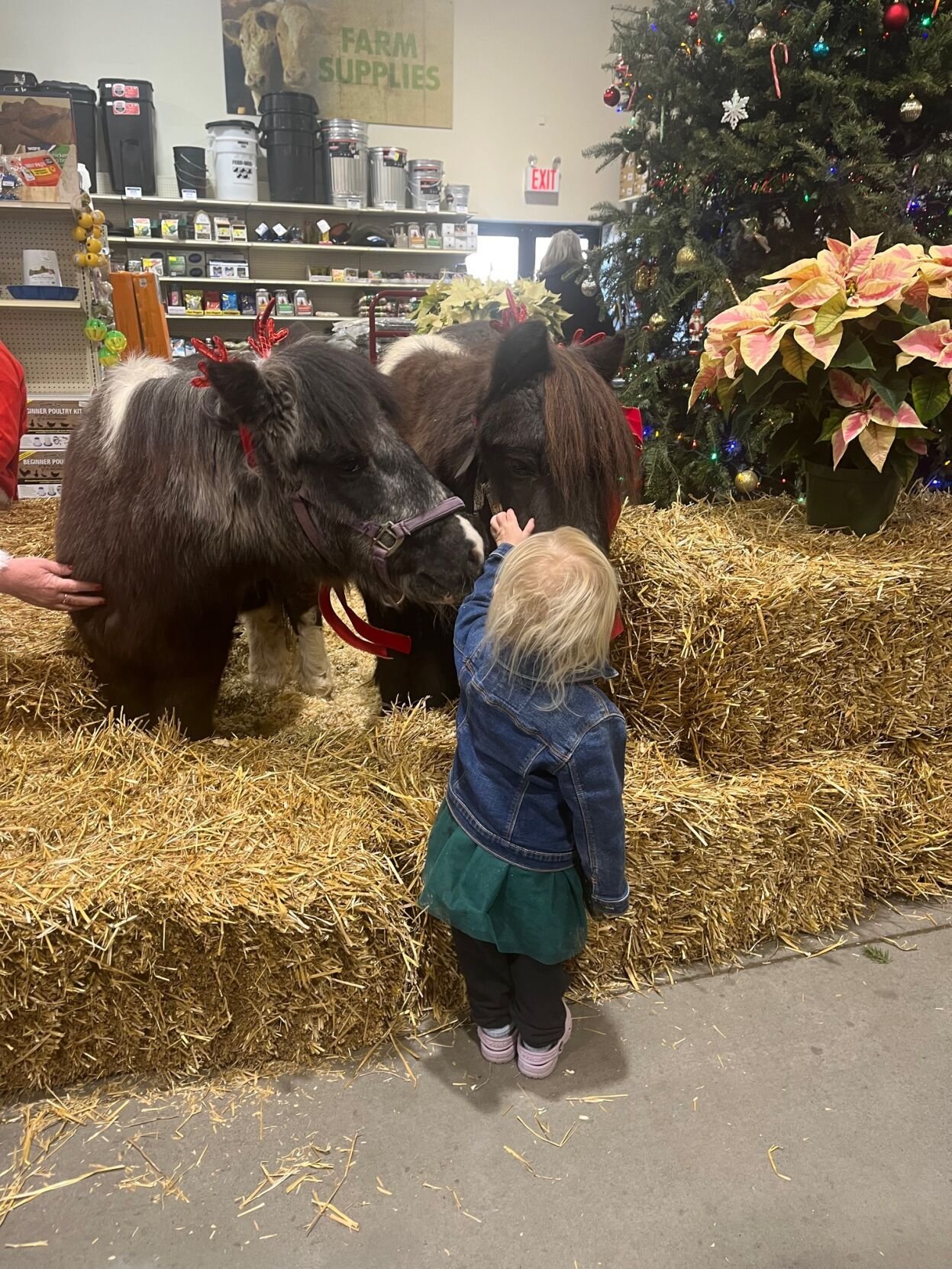 Live Animals Bring Holiday Cheer to Ranson's Celebration