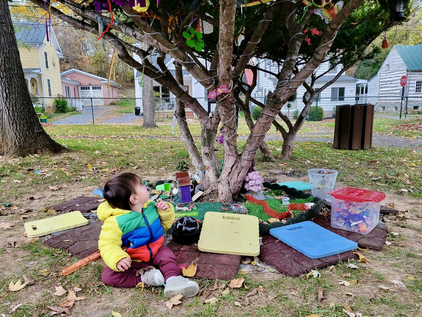 Whimsical Fairy Garden Enchants Shepherdstown Families