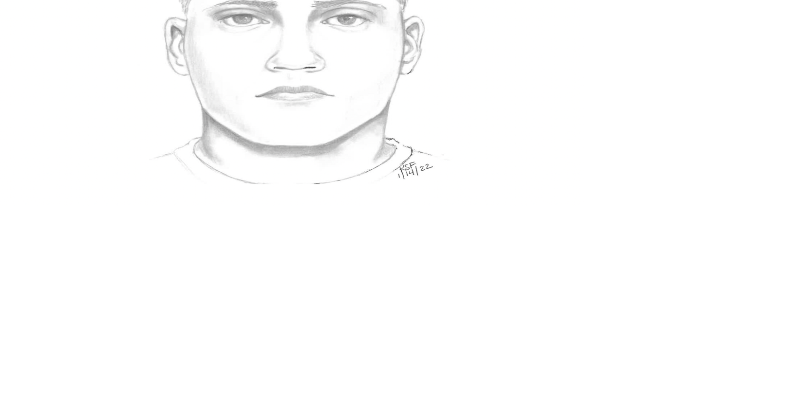 Berkeley County Sheriff’s Office releases sketch connected with fatal ...