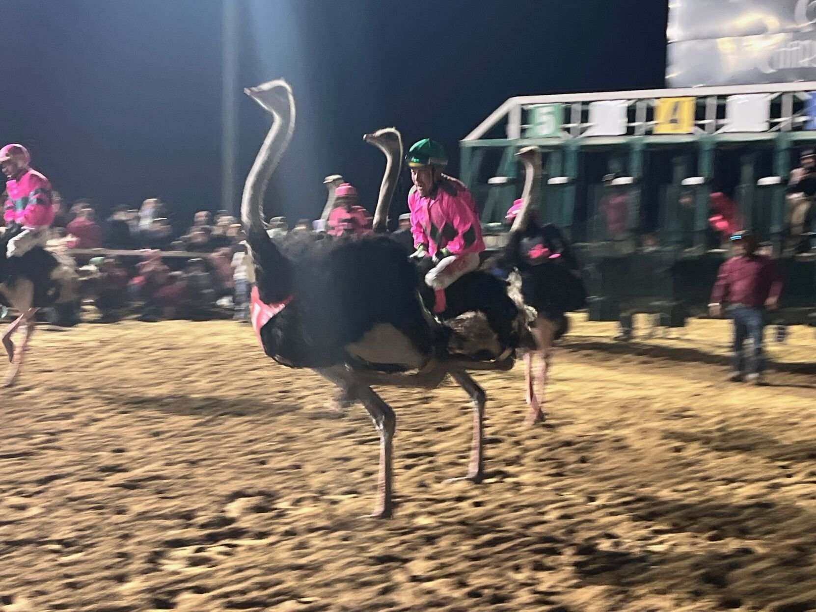 Stampede for a Cause: A Community Celebration in Charles Town