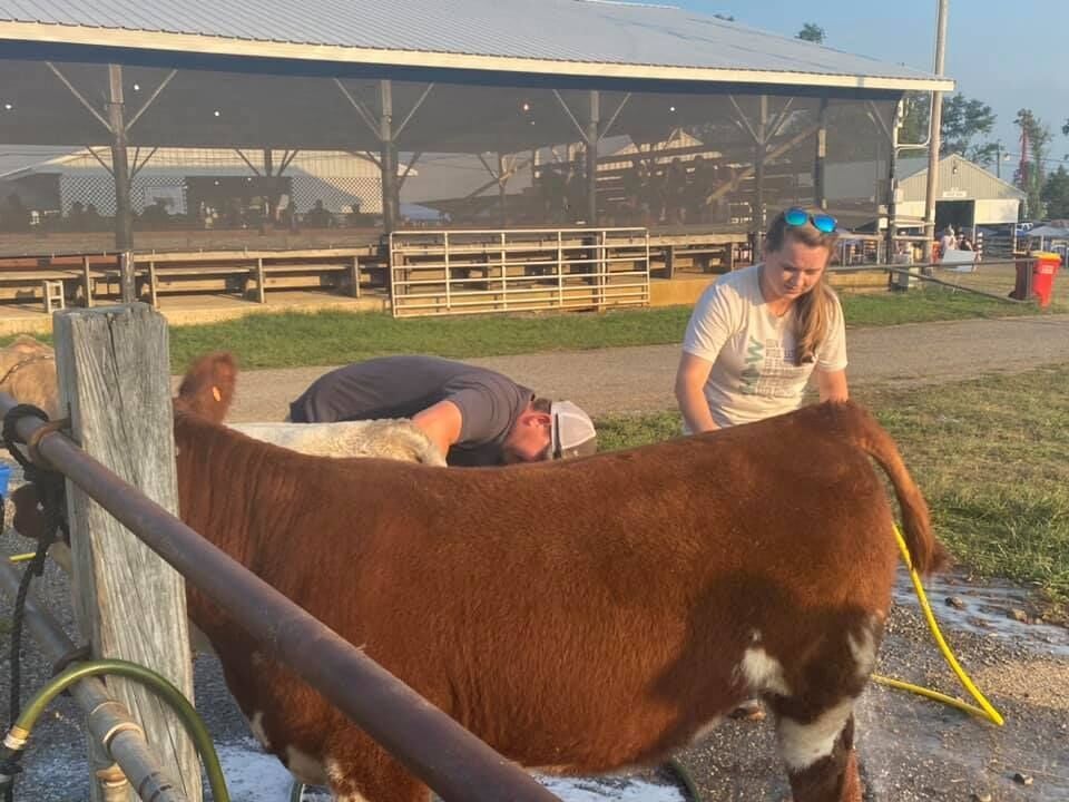 Harpers Ferry 4-H Club Hosts Livestock Skill-a-thon at Fair