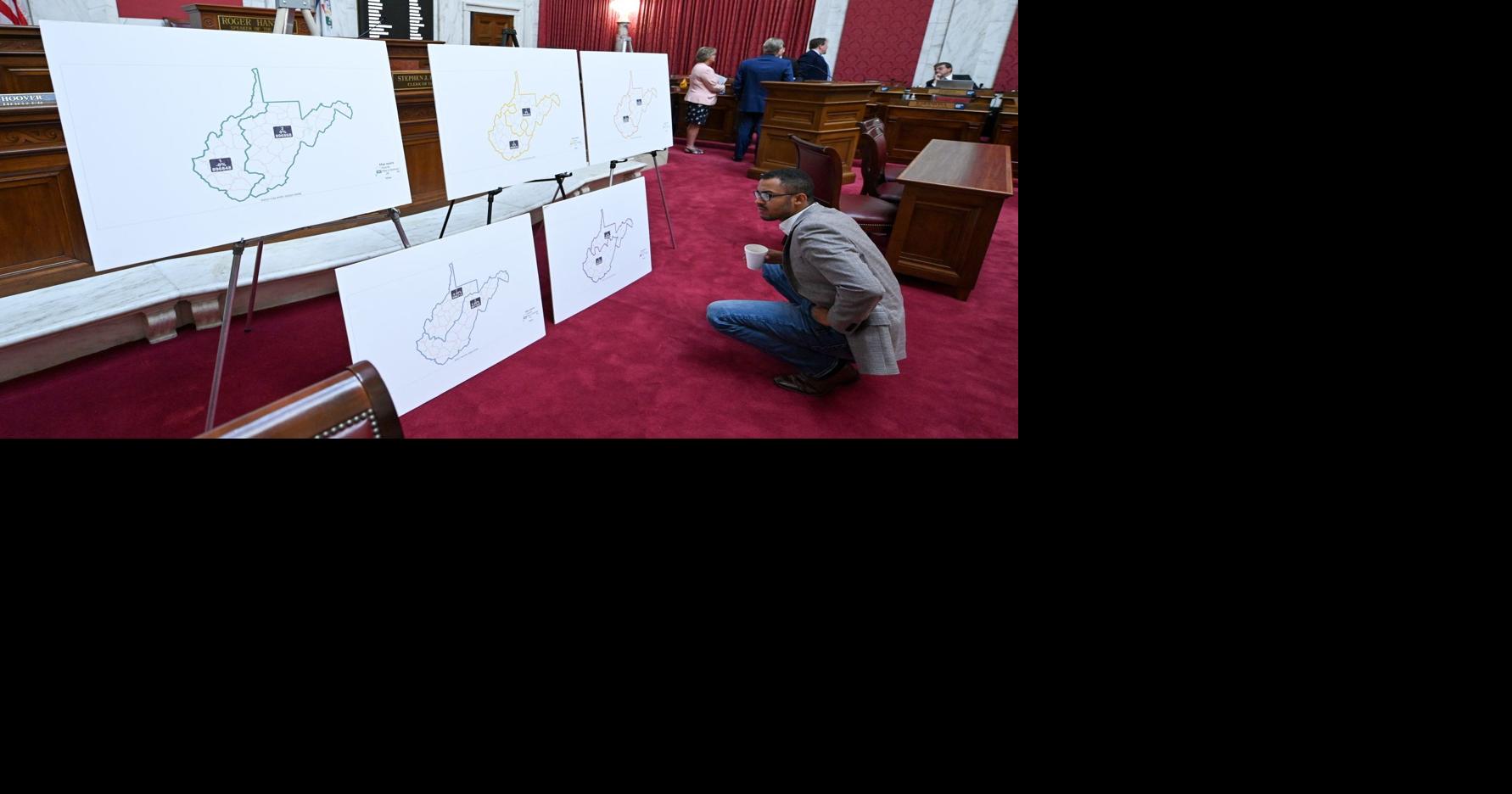 House, Senate redistricting committees get first look at draft ...