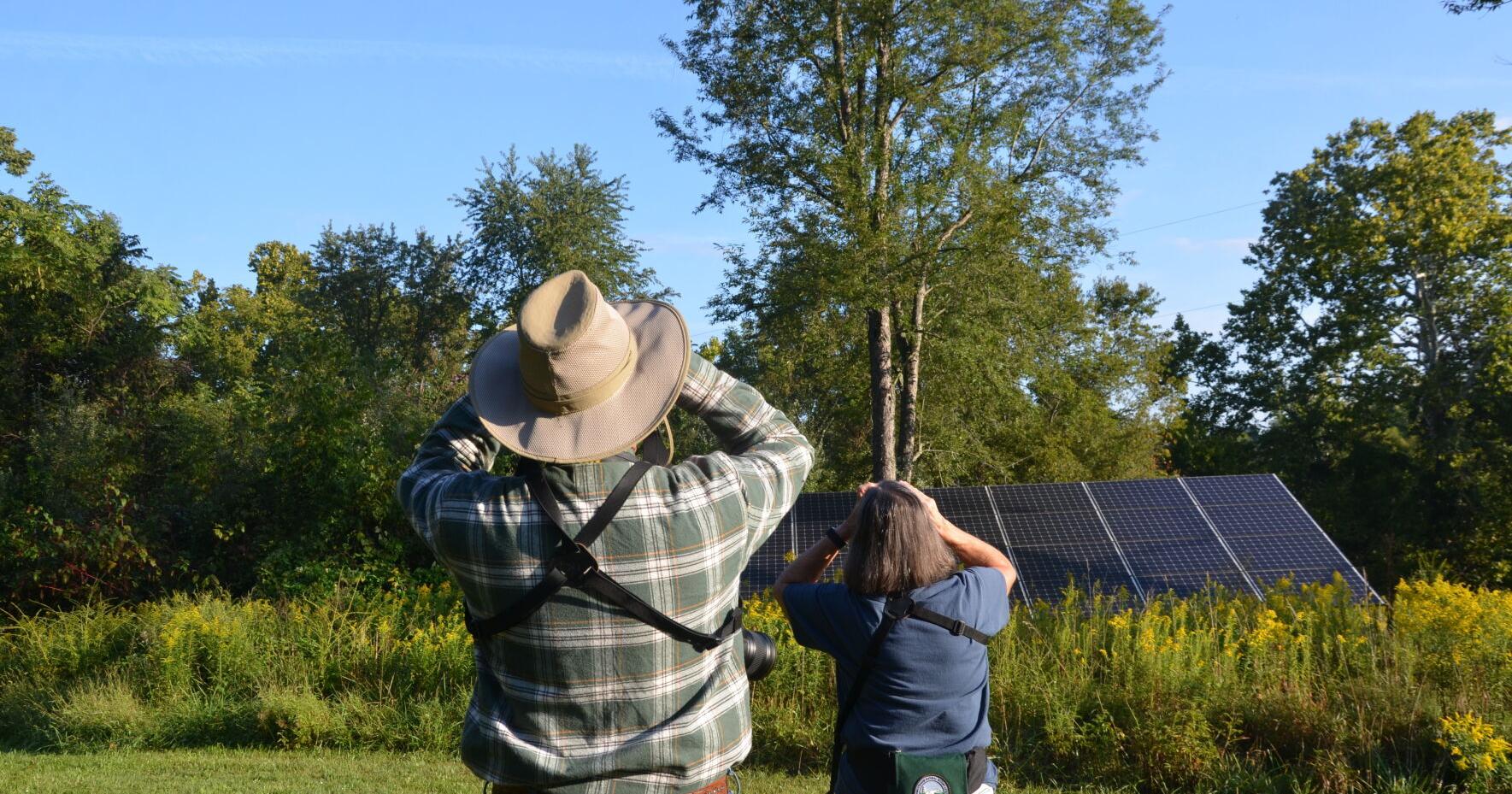 PVAS's annual Birdathon underway at Yankauer Nature Preserve - Vimarsana News