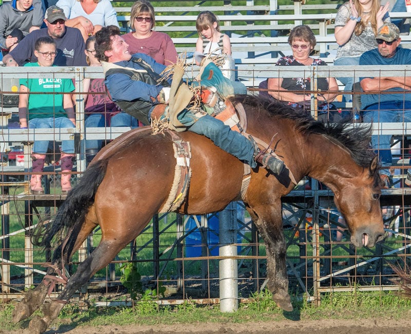 Piatt County Rodeo 2019!! News