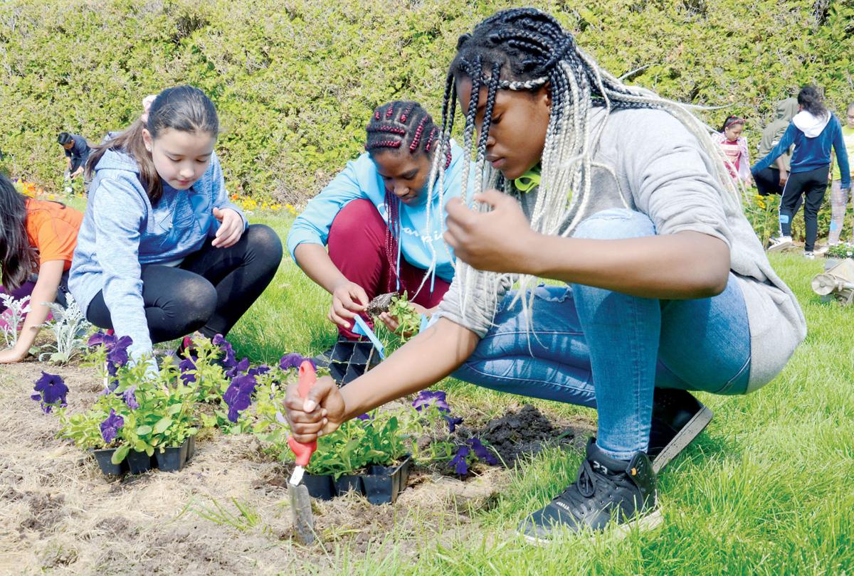 Help with the Allerton Annual Garden | News | journal-republican.com