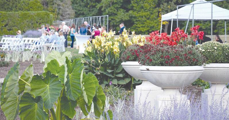 Allerton exceeds $8 million All In fundraising goal - Vimarsana News