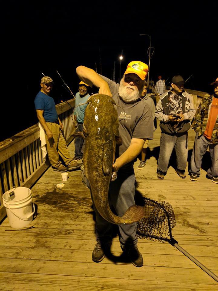 Whopping 38pound catfish caught in fishing tournament at Salem Lake