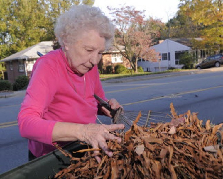 Interactive schedule for WinstonSalem leaf collection available online