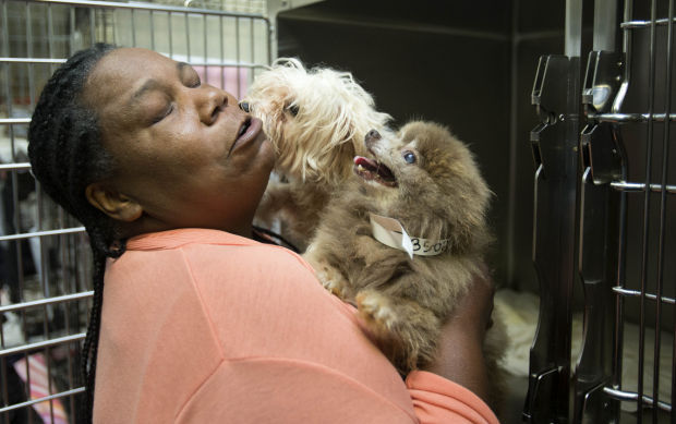 Seized animals arrive at Guilford County Animal Shelter