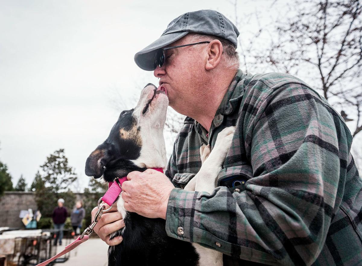 Davidson County Dog Rescue Fights To Stay Open Local News