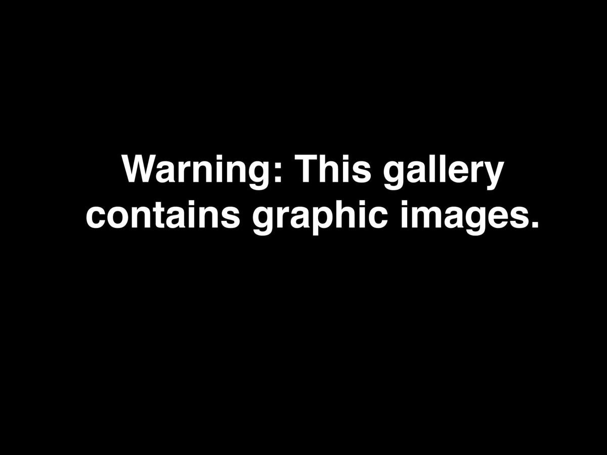 Graphic Content: Crime Scene Photos from the Corbett Case ...