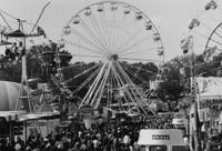 Fairs Dixie Classic49.jpg