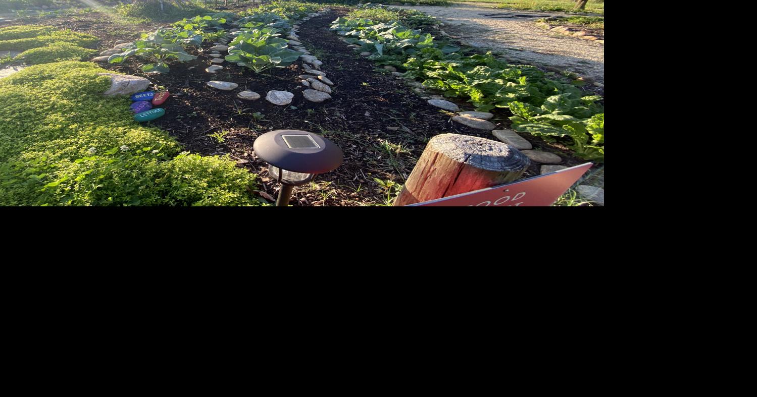 Crossnore Communities for Children's farm and gardens teach, feed and