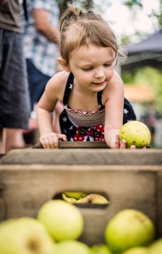 Bethabara Park’s Apple Festival draws large, enthusiastic crowd
