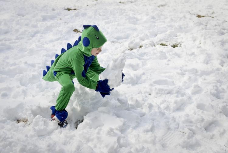 Wet snow blankets WinstonSalem