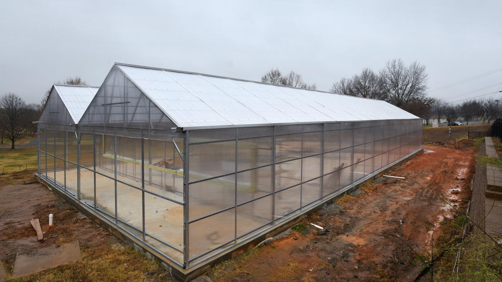 Hydroponic crop still hasn't bloomed $1.4 million and five years later - Vimarsana News