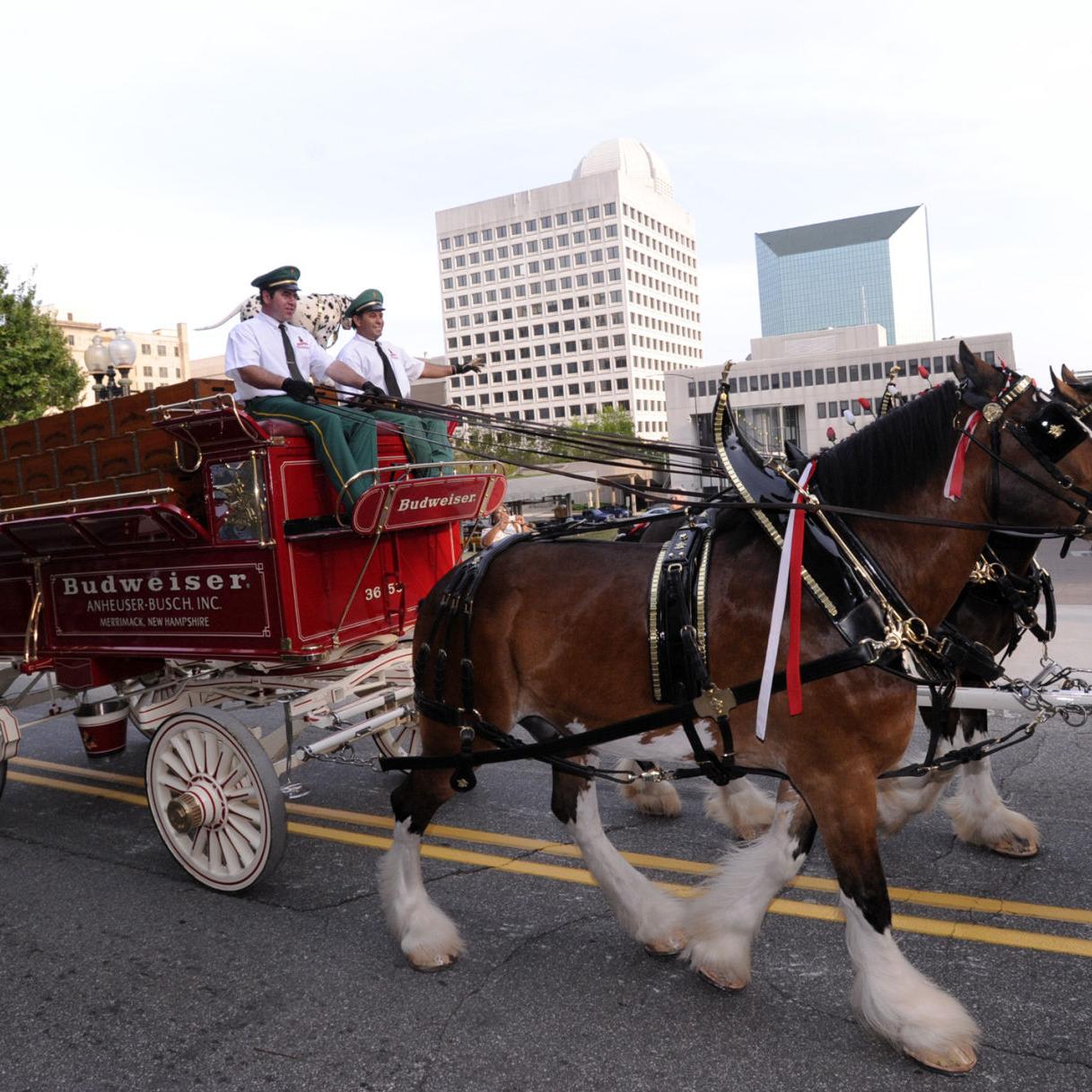 Ask Sam Has Budweiser Stopped Producing Christmas Commercials With The Clydesdale Horses Ask Sam Journalnow Com Will There Be A Budweiser Christmas Commercial 2021