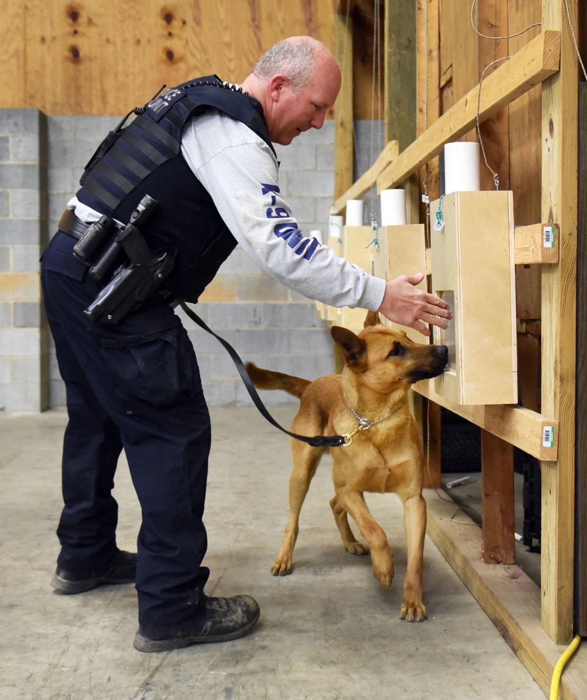 Photos Police dog basic training