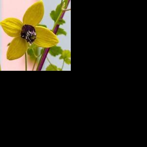 Religion calendar: March 25 - Vimarsana News