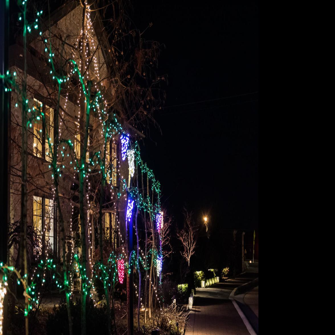 Ciener Botanical Garden Creates Dramatic Holiday Display From