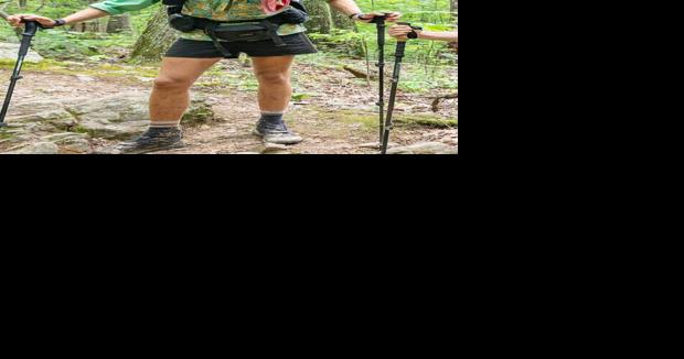 Hiker from the Netherlands dies after fall near McAfee Knob outside Roanoke - Vimarsana News