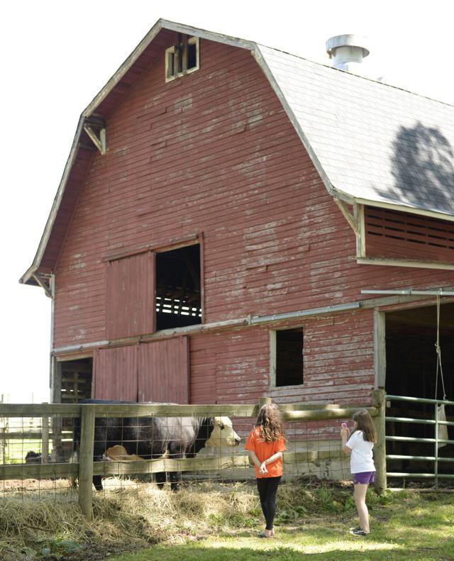 PHOTOS Crossnore School & Children's Home property in WinstonSalem