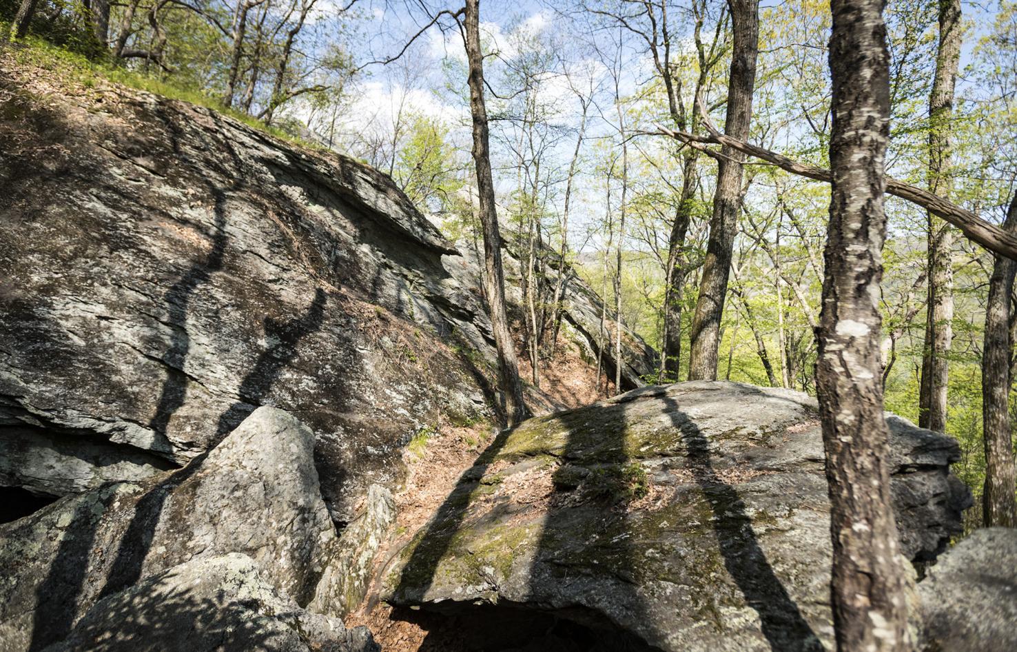 Photos Devil's Den Nature Preserve Galleries