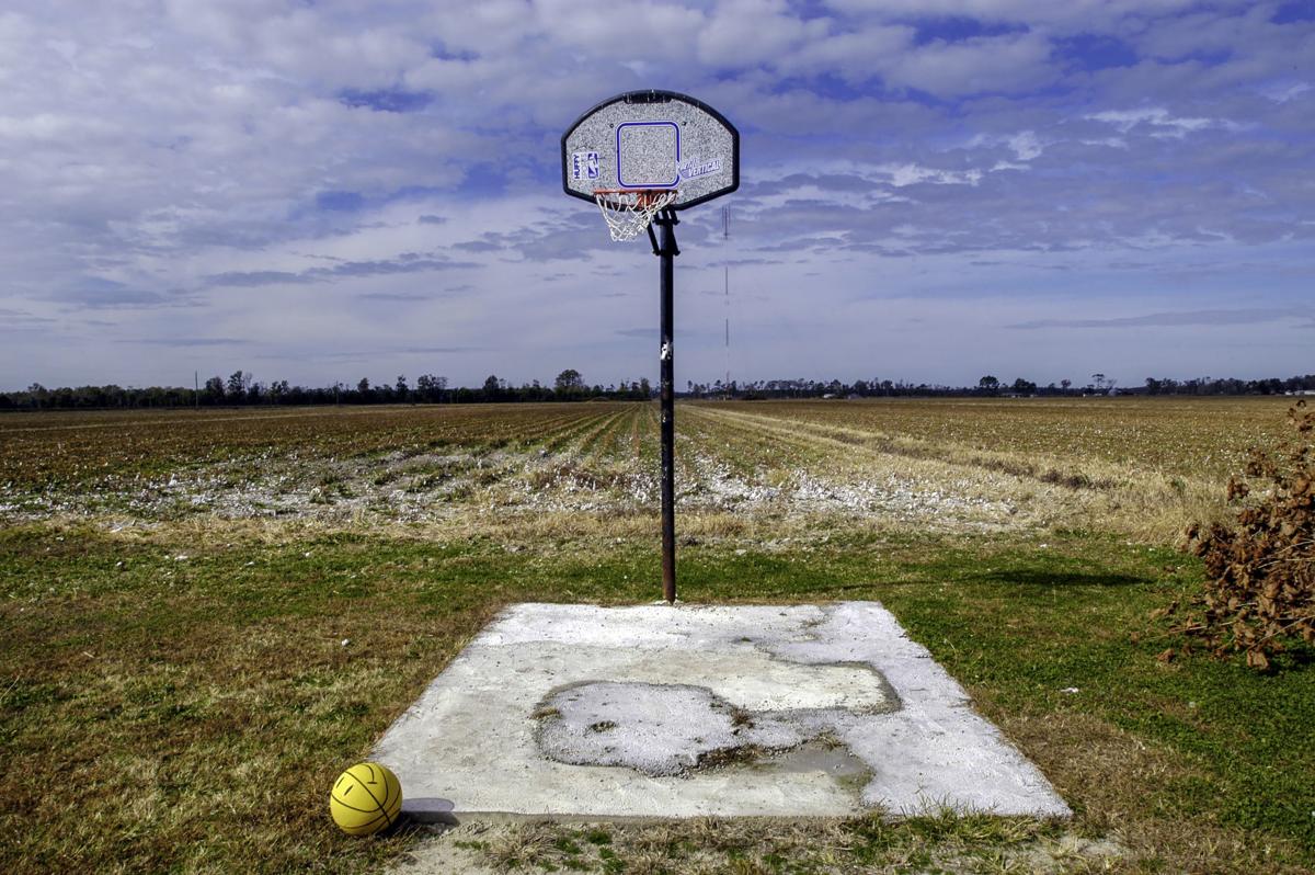 Weatherspoon Exhibit Showcases The Art Of Basketball Sport