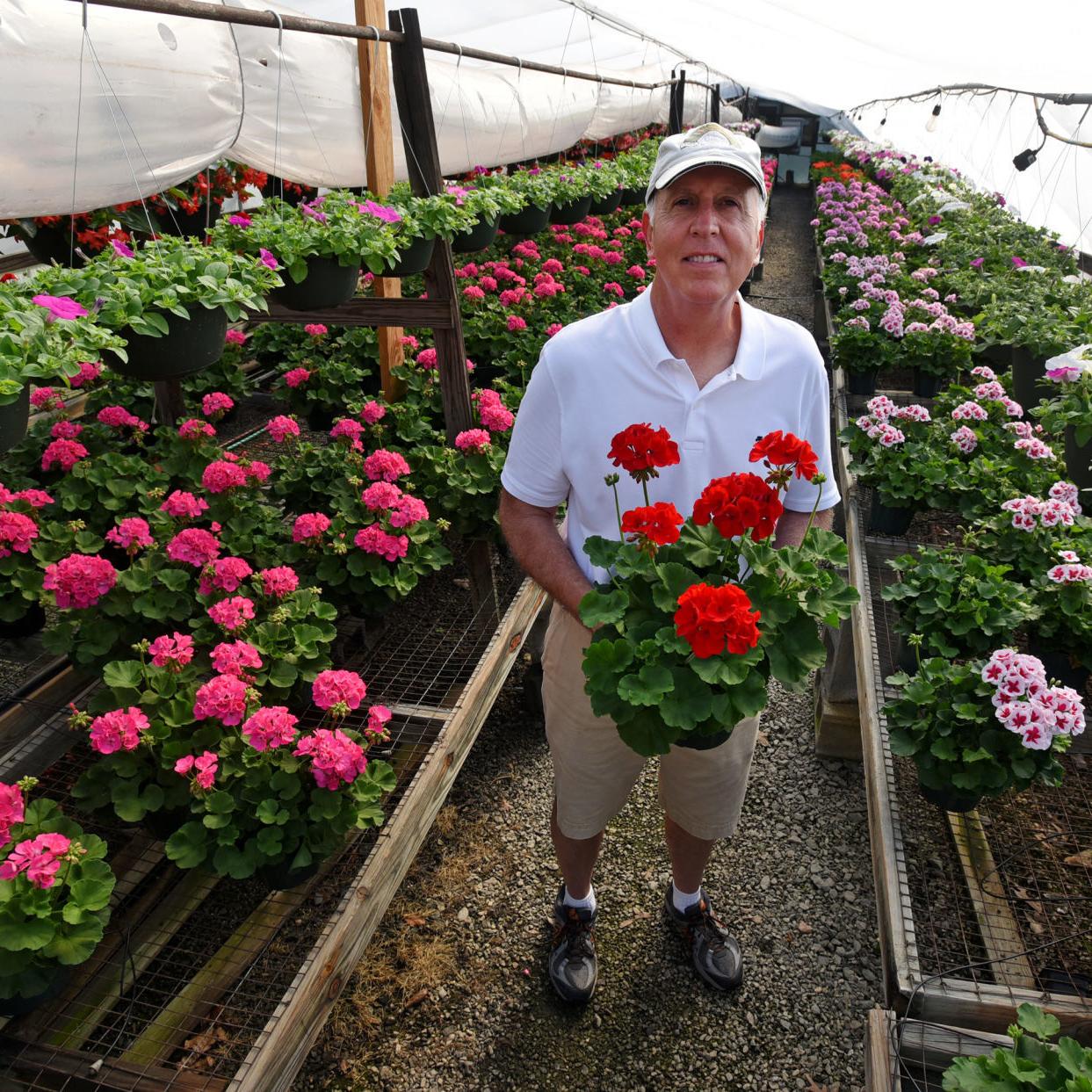 Nurseries Garden Centers Respond To Covid 19 Pandemic Home