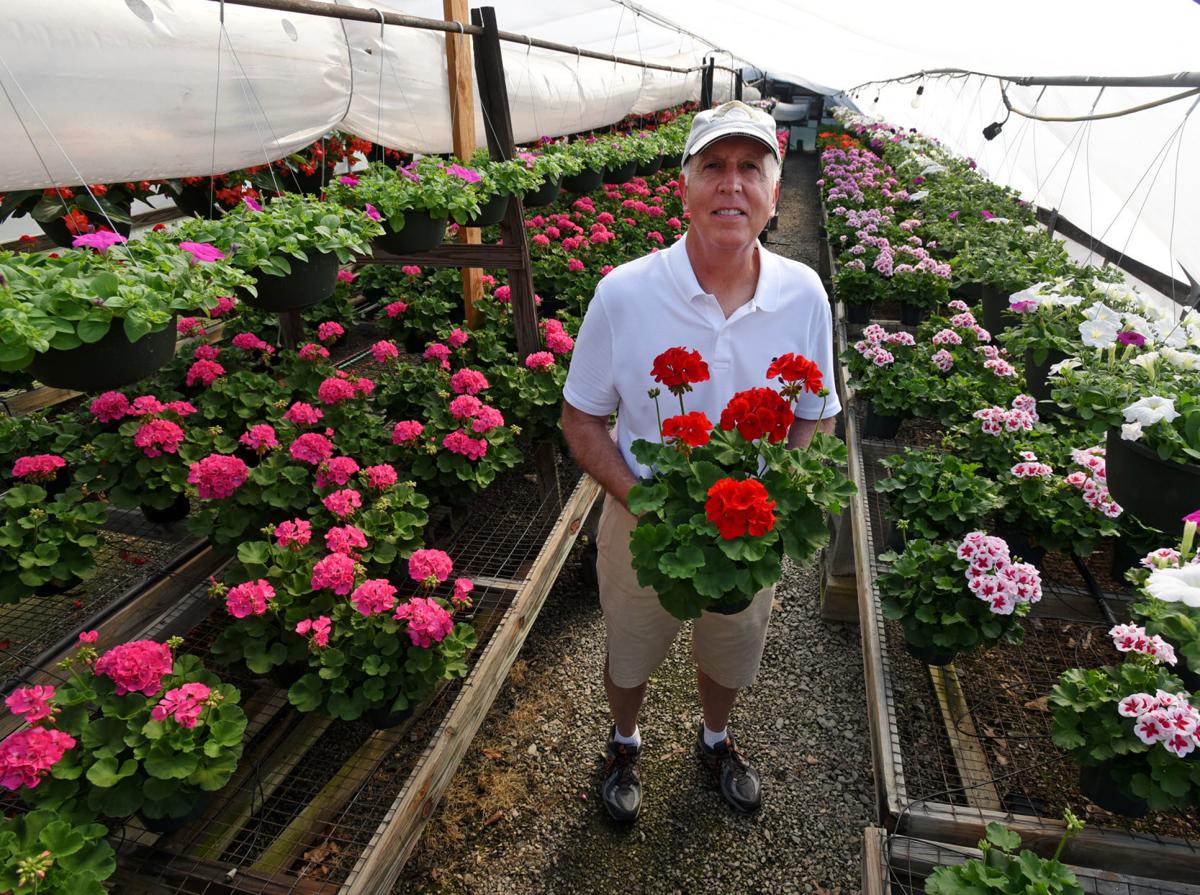 Greenhouse Garden Center & Nursery, Kernersville Triad NC