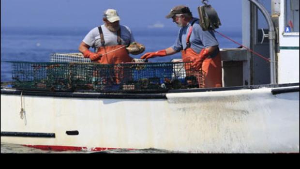 Surf As Turf Lobster Wars Rock A Remote Maine Island As Fishermen Try To Protect Their Territory National News Journalnow Com