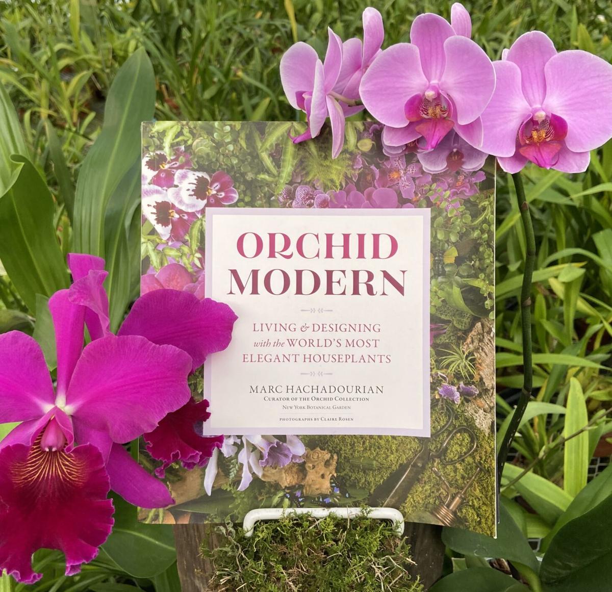 Orchids New Book Emphasizes Best Ways To Display Orchids Home Garden Journalnow Com