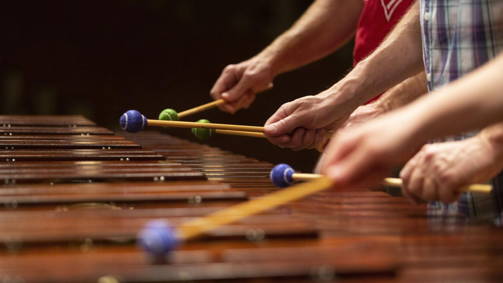 More than drums: EMF percussion concert in Greensboro features variety of instruments, composers - Vimarsana News
