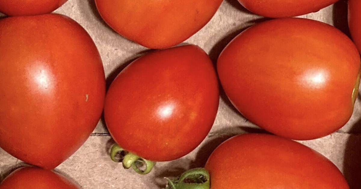 From Our Garden: Today’s garden plot becoming urbanized, revolutionized | Home & Garden From Our Garden: Today’s garden plot becoming urbanized, revolutionized | Home & Garden