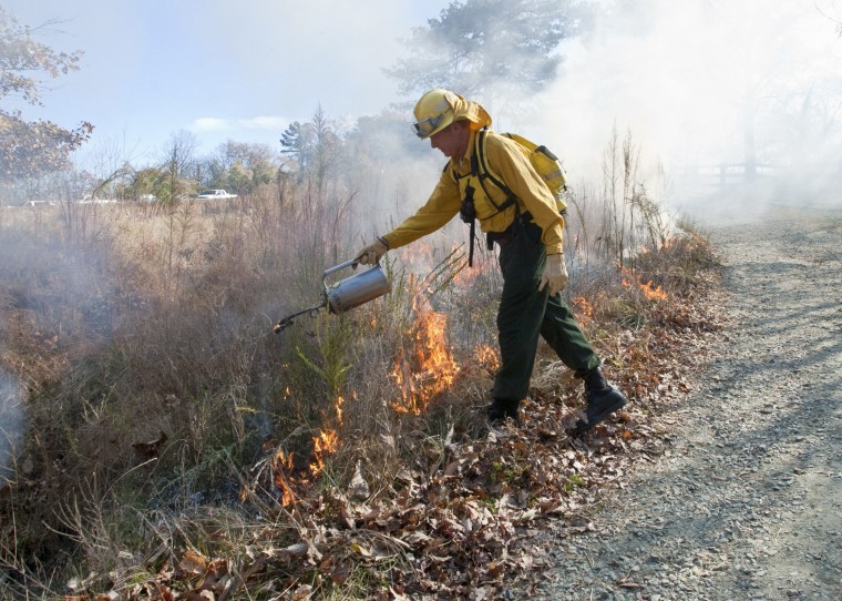 Pilot Mountain fire shows paradoxical need for prescribed burns