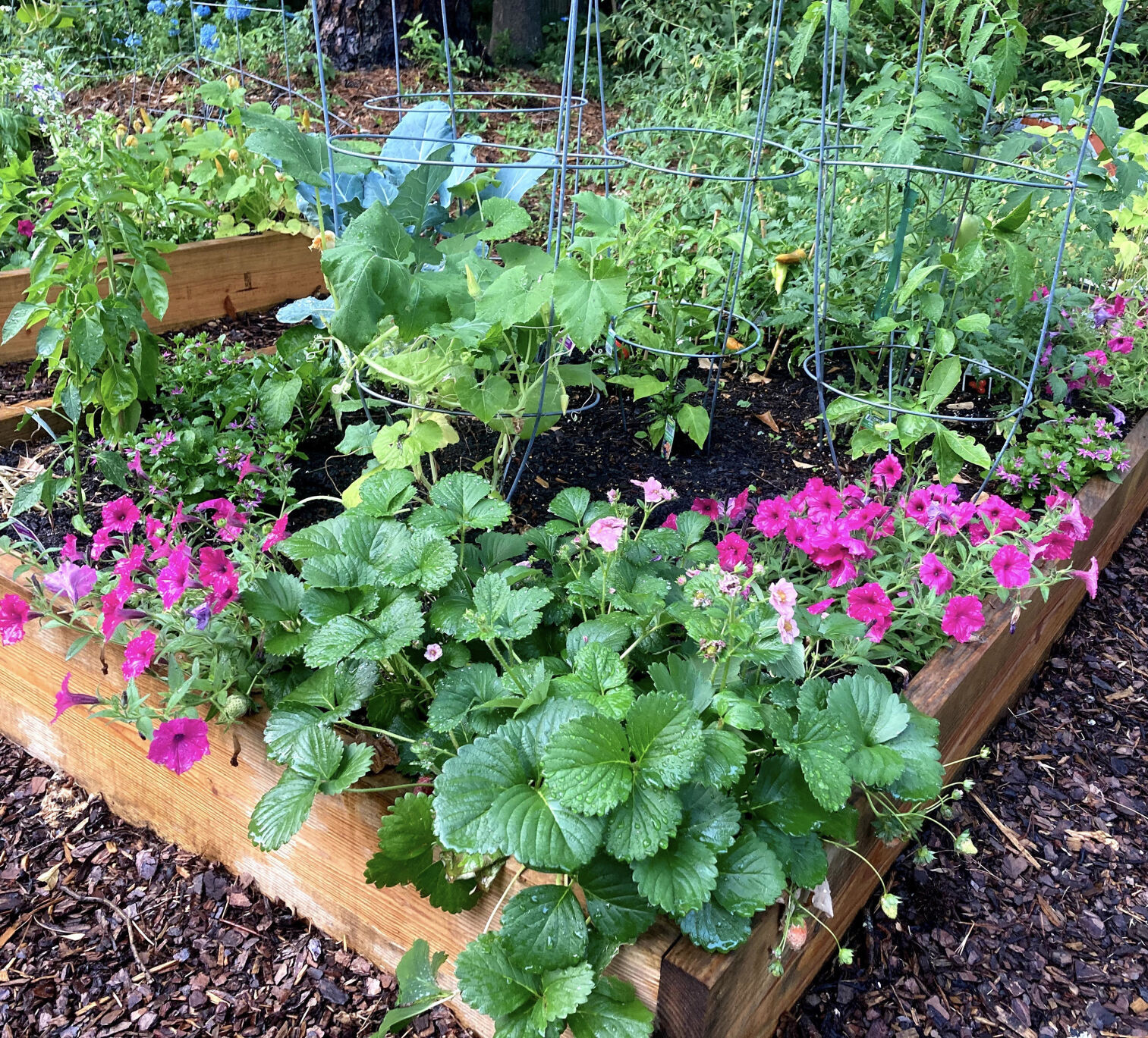LIFE-HOME-ONGARDENING-6-MCT