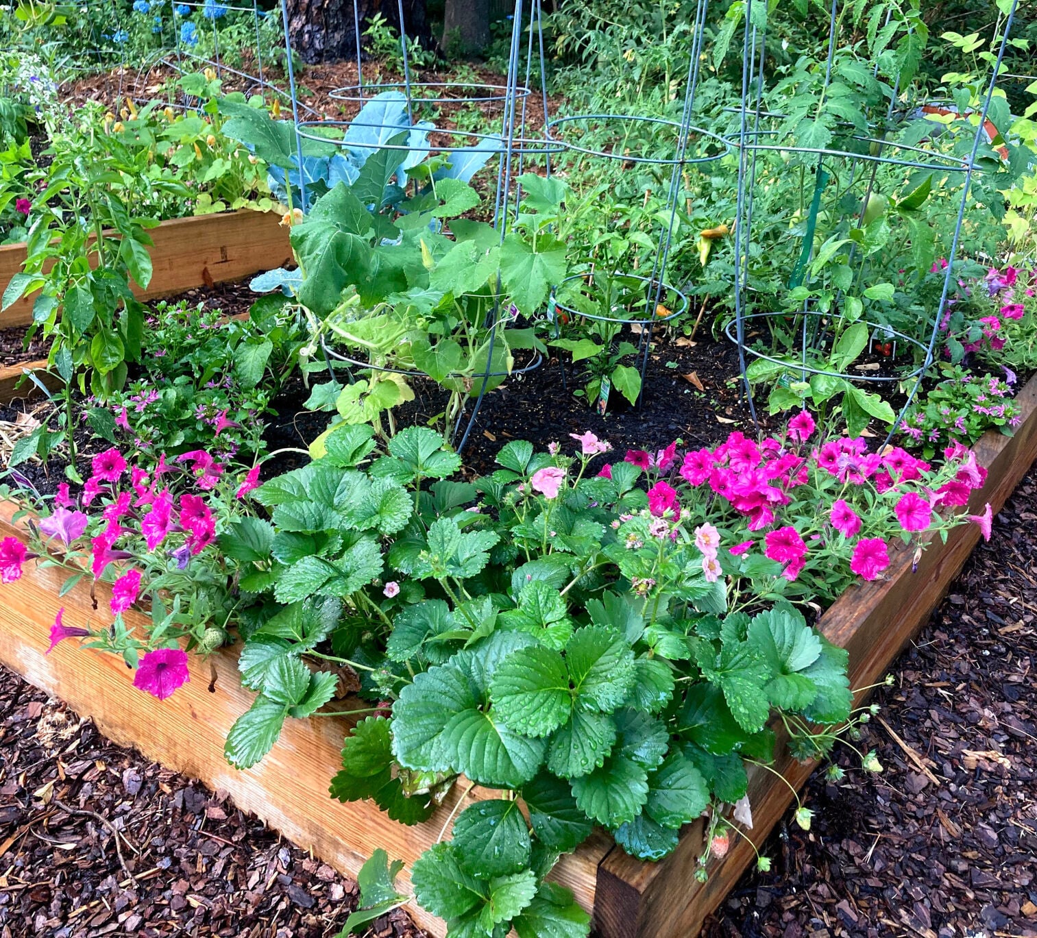 LIFE-HOME-ONGARDENING-6-MCT