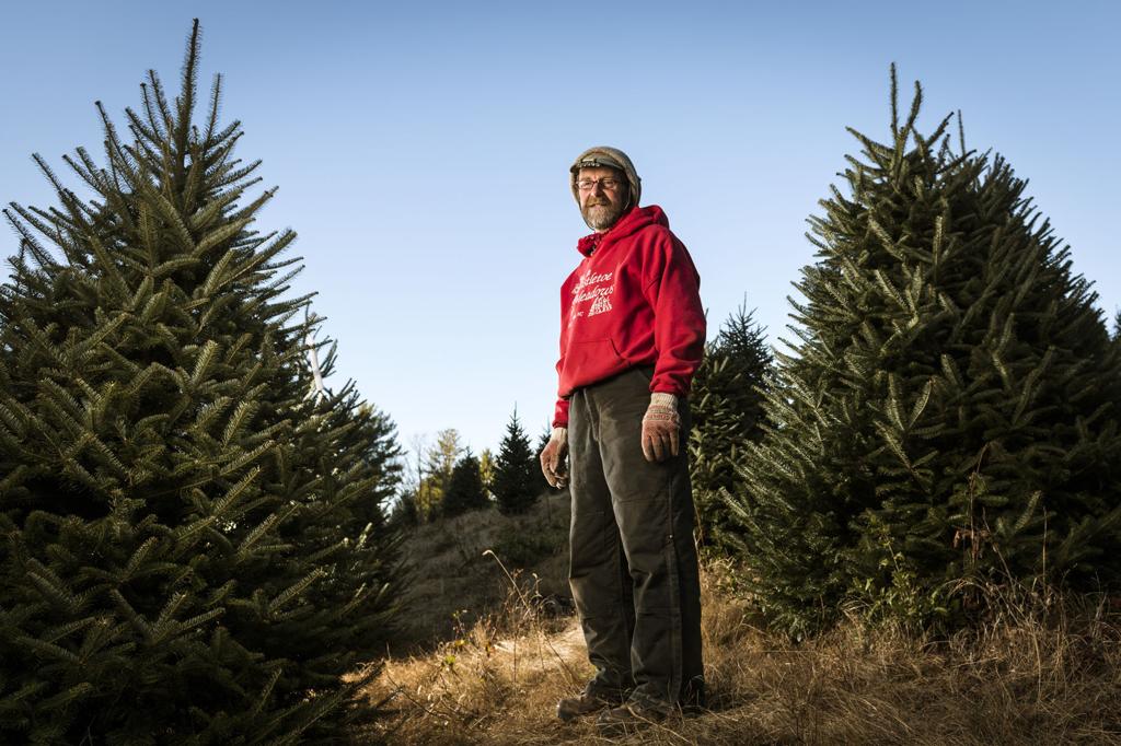 How Have Raging Wildfires And Punishing Droughts Affected Christmas Tree Farms Local News Journalnow Com