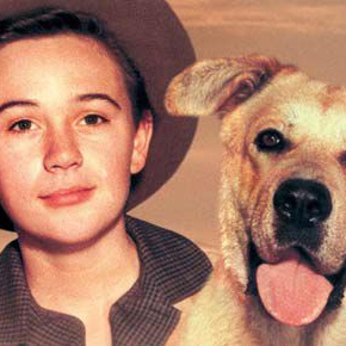 Railey Old Yeller Is A Christmas Story In Its Own Right Columnists Journalnow Com