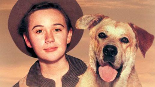 Railey Old Yeller Is A Christmas Story In Its Own Right Columnists Journalnow Com Railey Old Yeller Is A Christmas Story In Its Own Right Columnists Journalnow Com